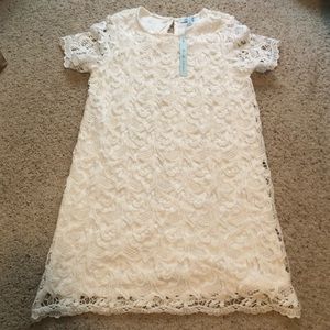 Lace shift dress - NWT